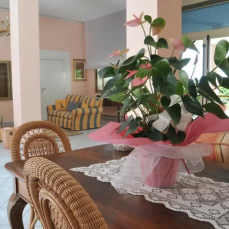 Stella Hotel Bellaria-Igea Marina